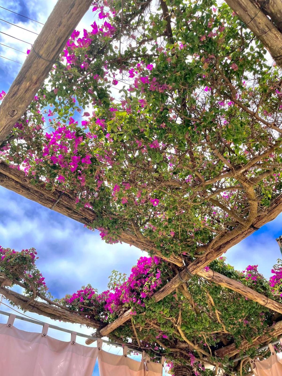 Alle Stelle B&B Anacapri  Ngoại thất bức ảnh